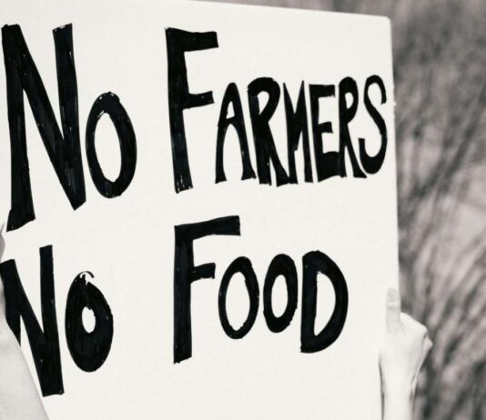 Montauban steht Kopf: Wütende Landwirte protestieren gegen Gesetzesänderung Bauernproteste