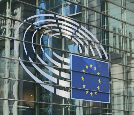 Zwanzig Jahre nach dem „Non“: Frankreichs bleibende Skepsis gegenüber der politischen Klasse Europäisches_Parlament