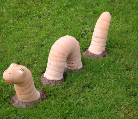 Editorial zum Tag des Regenwurmes – ein Loblied auf die kleinen Helden der Erde Regenwurm_Illustration