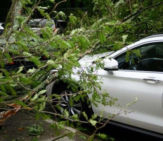 Klima: Axa Frankreich hat 2023 etwa 400 Millionen Euro für „Klimaschäden“ aufgewendet Sturmschaden