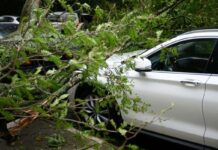 Wenn der Atlantik tobt: Sturm „Nils“ erschüttert ganz Südfrankreich Sturmschaden