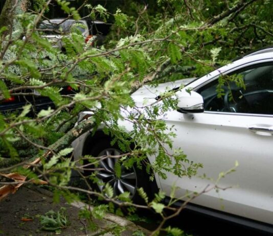 Wenn der Atlantik tobt: Sturm „Nils“ erschüttert ganz Südfrankreich Sturmschaden