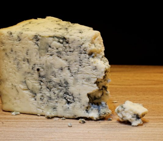 E.coli-Bakterien: 11 Kinder vergiften sich an Käse aus dem Jura Blauschimmelkäse
