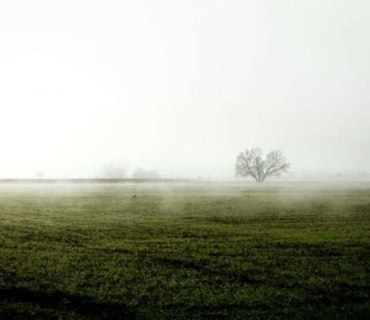 Zum sechsten Mal in Folge: Ein überdurchschnittlich warmer Winter in Frankreich Winter_ohne_Schnee