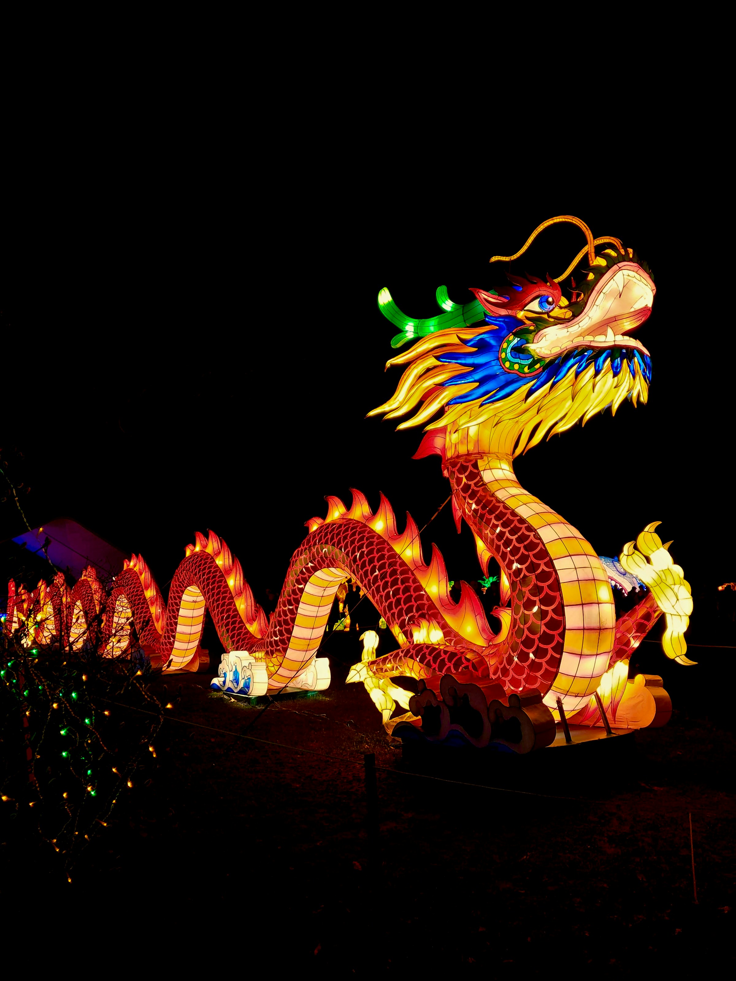 Das Chinesische Neujahr: Ein Fest des Überflusses und der Tradition