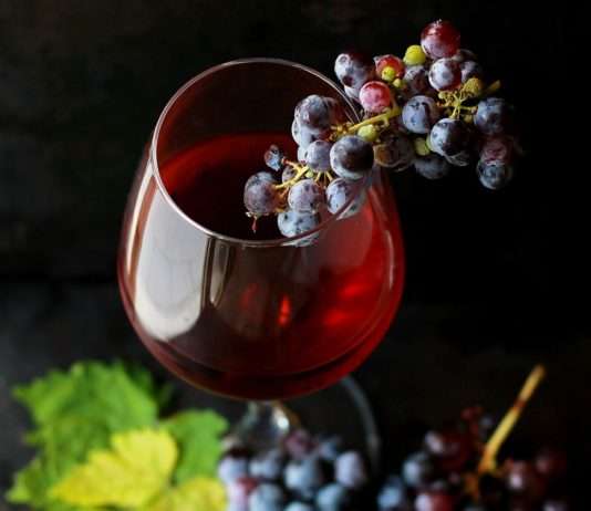 Bourgogne-Franche-Comté: Wo Wein, Käse und Tradition sich zu einem magischen Dreiklang vereinen! Wein_Burgund