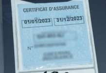 Kfz-Versicherung in Frankreich: Die grüne Vignette an der Windschutzscheibe wird abgeschafft Versicherungs_Vignette