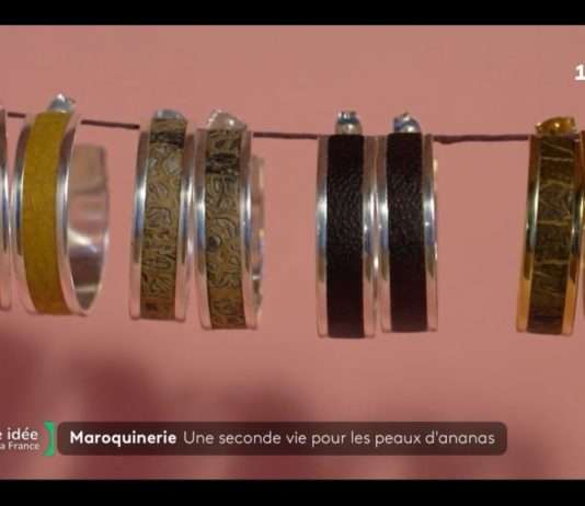 Veganes Leder aus der Bretagne: Ein Handwerker kreiert Mode-Accessoires aus Fruchtschalen Veganes_Leder_ScreenF2
