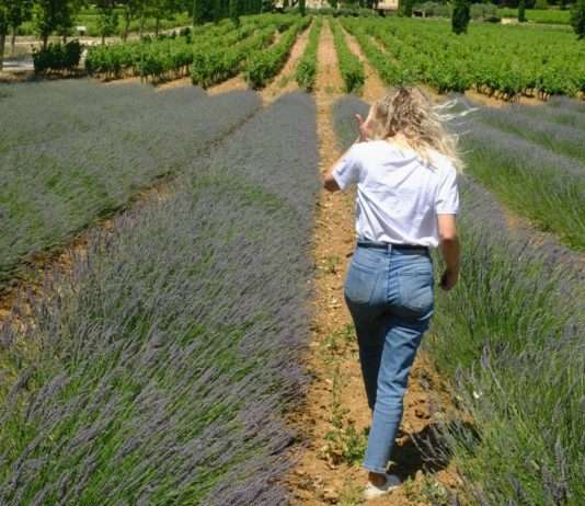 Die Anziehungskraft Frankreichs: Zwischen Traum und Wirklichkeit Leben_in_Frankreich