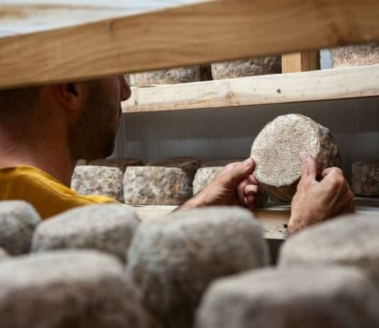 Ein Schmelztopf der (Käse-)Kulturen: Das neue Käsemuseum in Paris Käse_Reifung_Lagerung