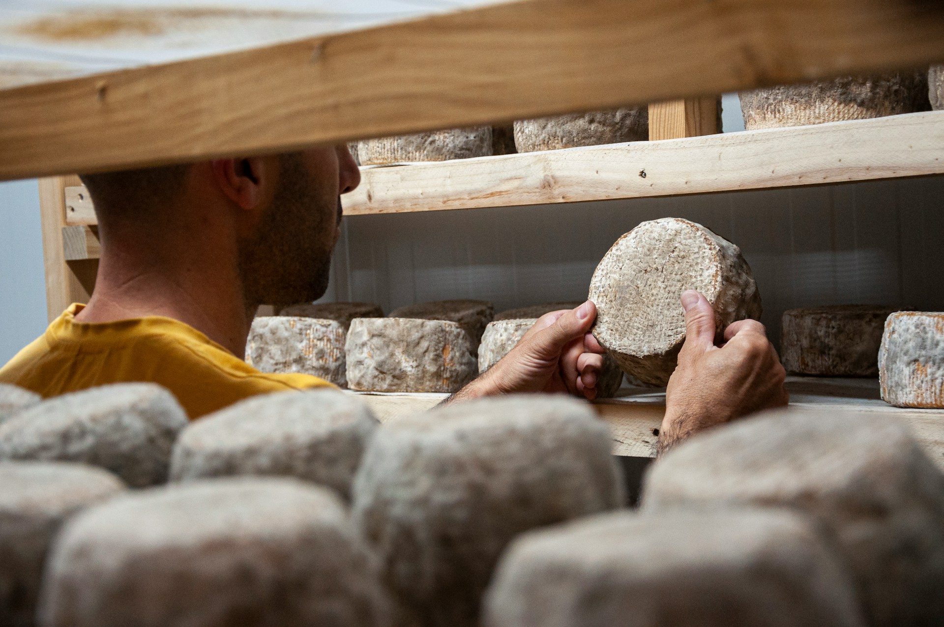 Ein Schmelztopf der (Käse-)Kulturen: Das neue Käsemuseum in Paris