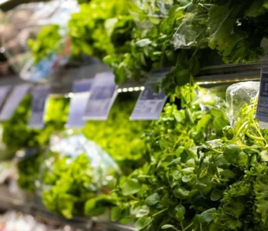 Frankreich: Alarmierende Befunde bei abgepackten Salaten Salat_Supermarkt