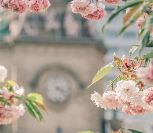 Frankreich: Frühlingsauftakt mit Rekordtemperaturen gefolgt von einem Temperatursturz am Wochenende Frühling