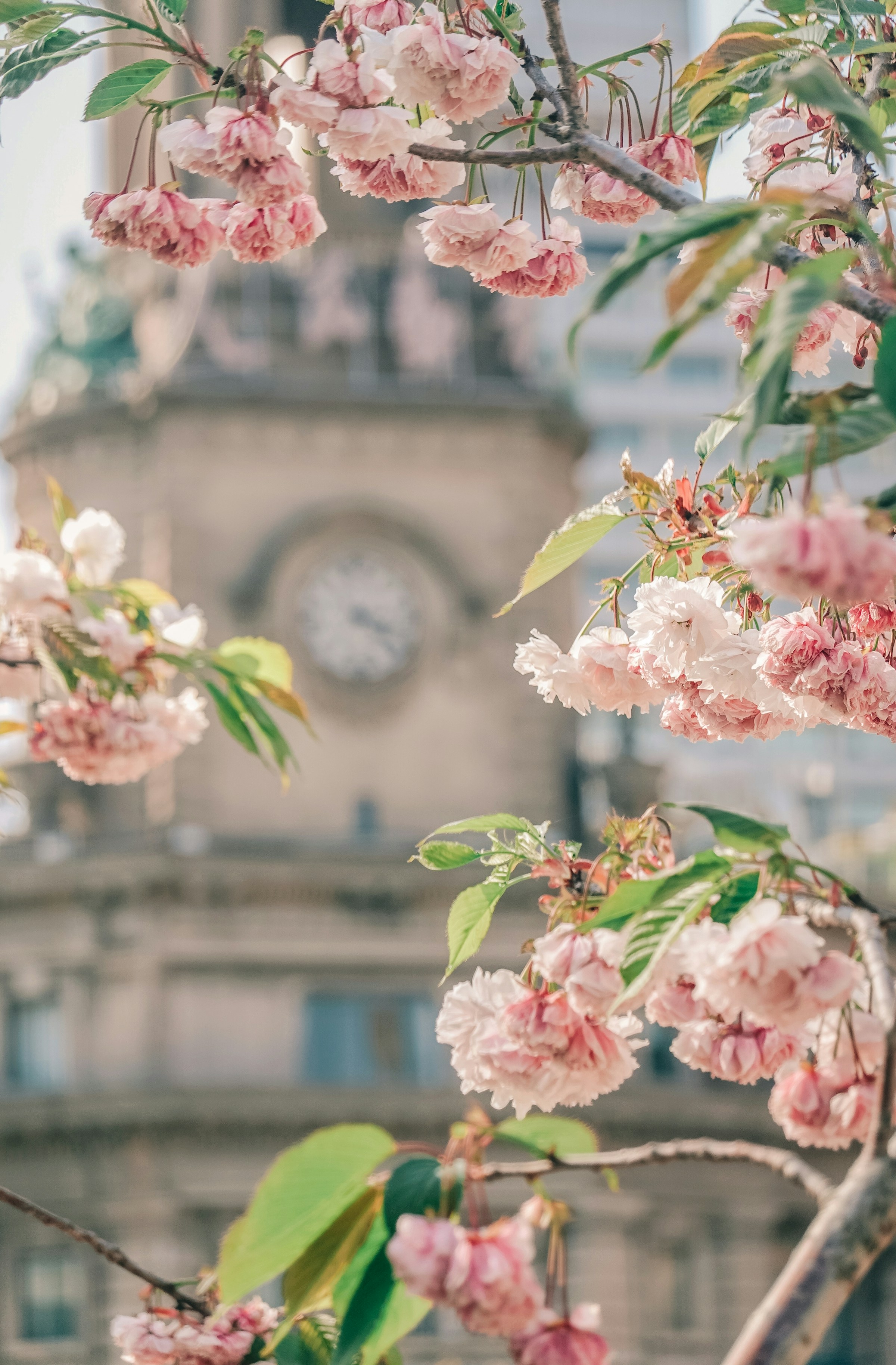 Frankreich: Frühlingsauftakt mit Rekordtemperaturen gefolgt von einem Temperatursturz am Wochenende