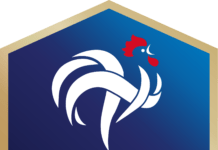 Massiver Datenklau bei der FFF: 1.5 Millionen Datensätze von Fußballspielern bei Cyberangriff gestohlen Logo_FFF