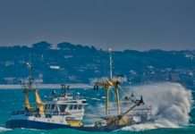 Kameras an Bord: Mehr Nachvollziehbarkeit zum Schutz der Delfine im Golf von Biskaya Fischerei_Trawler