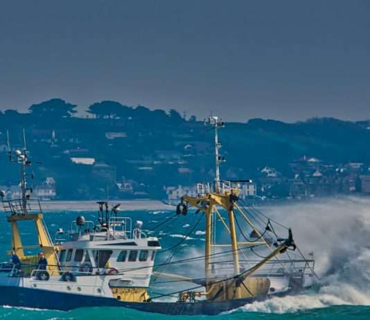 Kameras an Bord: Mehr Nachvollziehbarkeit zum Schutz der Delfine im Golf von Biskaya Fischerei_Trawler