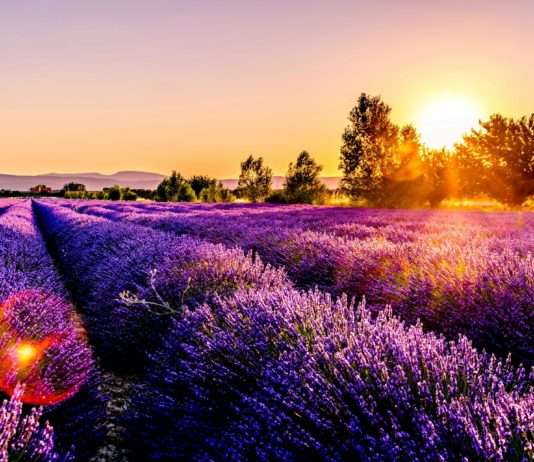 Kulturelle Unterschiede und Integration: Eine Herausforderung für Deutsche in Frankreich Provence_Sonnenuntergang