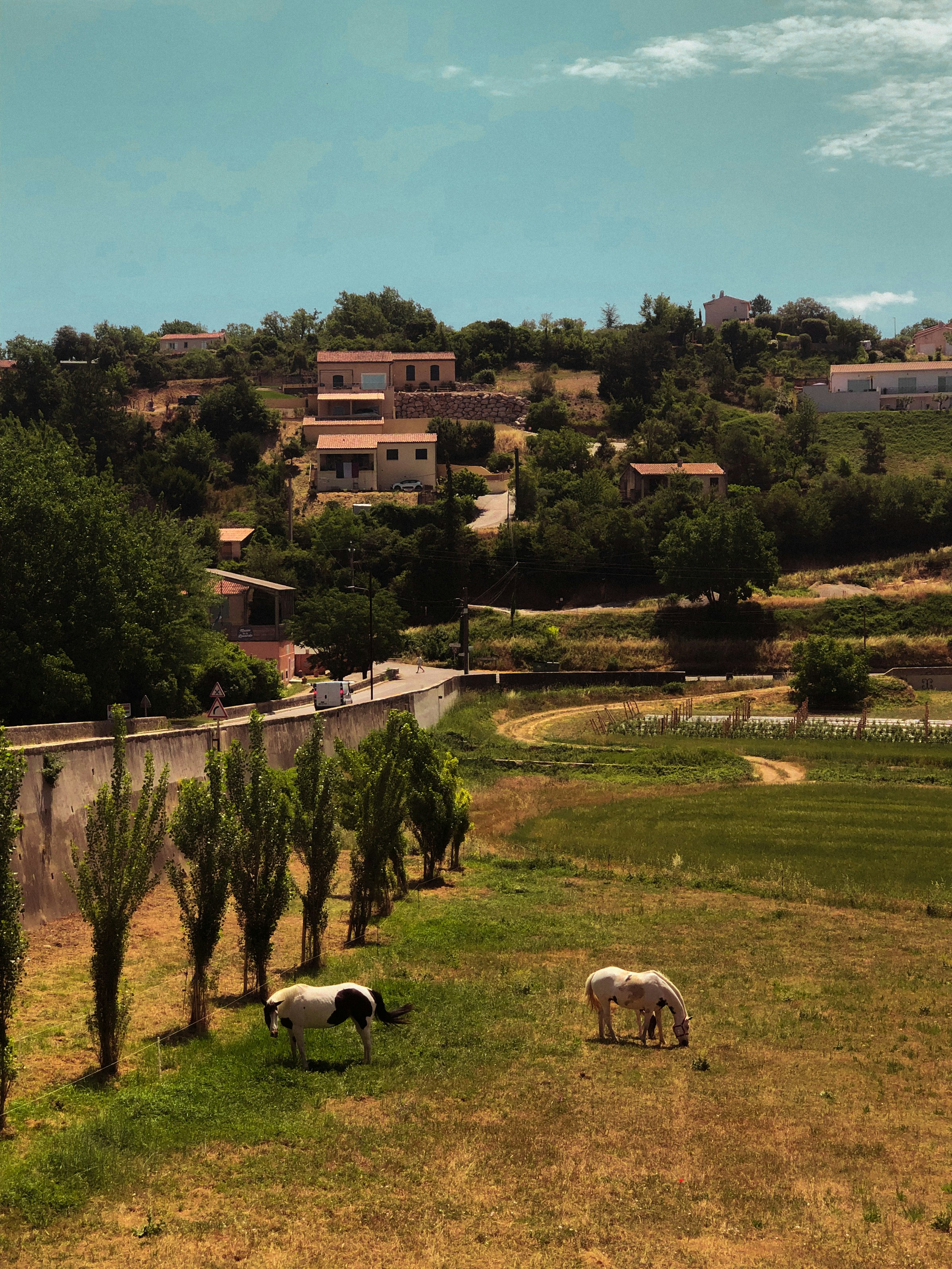 Wohnen und Immobilienmarkt in Frankreich: Zwischen Provence und Paris