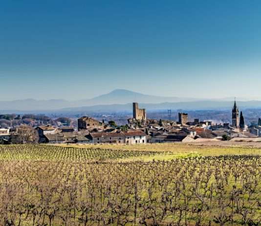 Vaucluse: Wo Mönche die Kunst der Weinherstellung meistern Mont_Ventoux