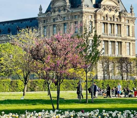 Frühlingserwachen in Frankreich: Ein persönlicher kleiner Reiseführer für Entdecker Paris_Frühling