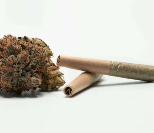 Drogenlager am Hafen: Polizei entdeckt fast zwei Tonnen Cannabis in Le Havre Cannabis