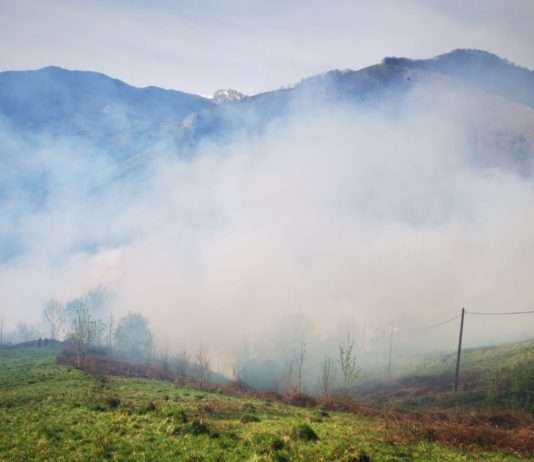 Brand bei Perpignan: 110 Feuerwehrleute kämpfen gegen die Flammen Waldbrand_Larrau