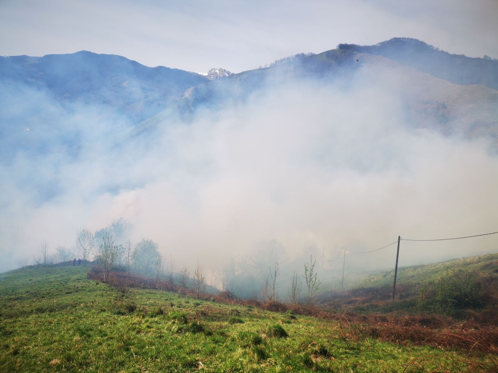 Brand bei Perpignan: 110 Feuerwehrleute kämpfen gegen die Flammen