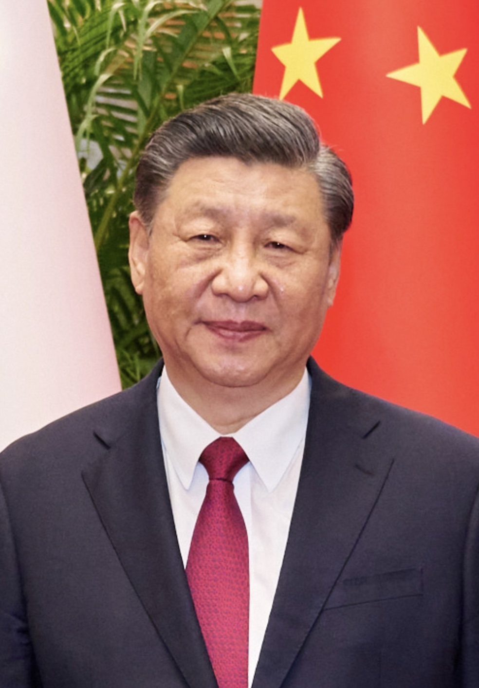 Ein Gipfeltreffen im wahrsten Sinne des Wortes: Macron empfängt Xi Jinping