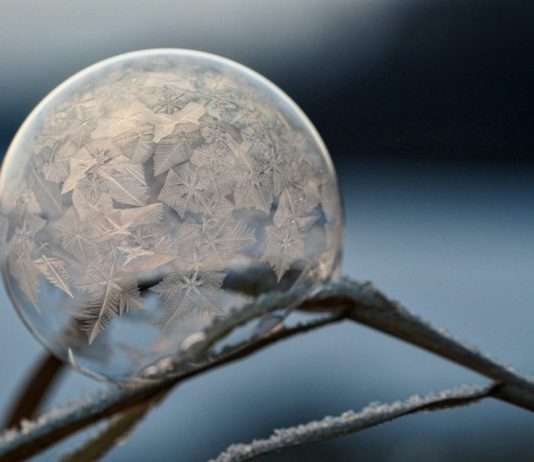 Frostschäden drohen: Frankreichs Bauern im Kampf gegen die Kälte Frost
