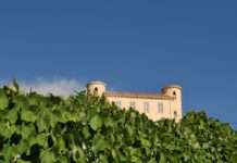 Entdeckungsreise durch Vallauris: Eine Stadt der Kunst und Keramik Vallauris