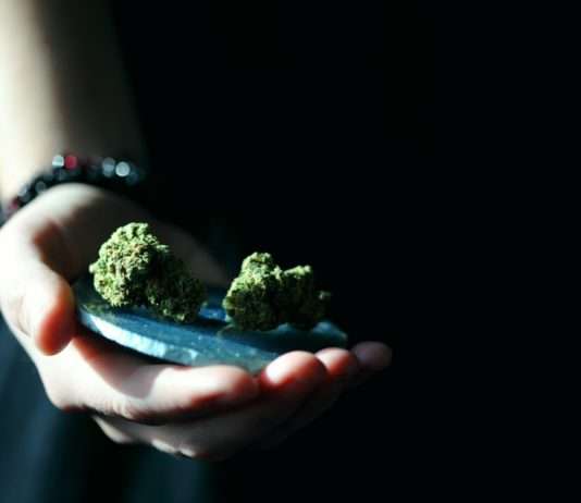 Drogenkonsum in ländlichen Gebieten: Eine stille Epidemie Cannabis_Marihuana