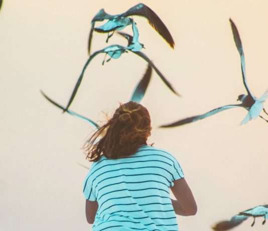 Wachsende Sorge der WHO über die Verbreitung des H5N1-Virus beim Menschen Vogelgrippe