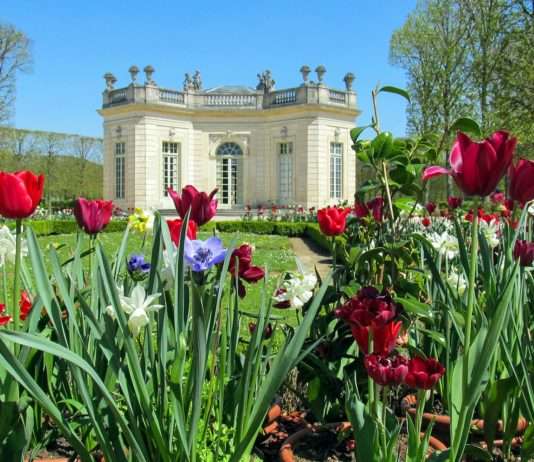 Frühling auf Hochtouren: Warum frühe Hitzewellen in Frankreich Pflanzen – und Menschen – in Alarmbereitschaft versetzen Frühling_Versailles
