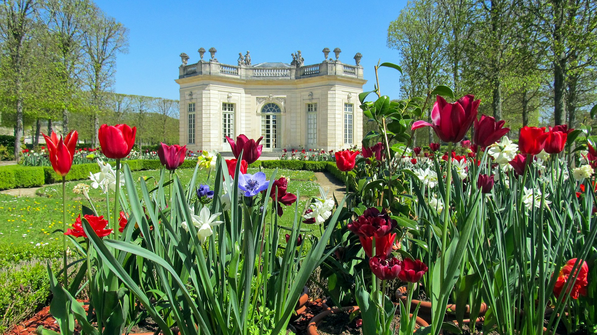 Frühling auf Hochtouren: Warum frühe Hitzewellen in Frankreich Pflanzen – und Menschen – in Alarmbereitschaft versetzen