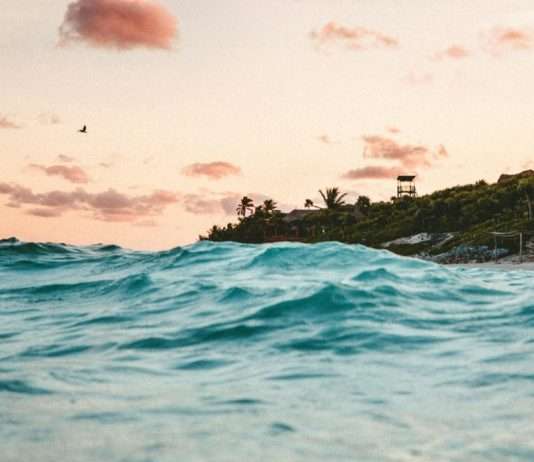 „Das Meer hat alles verschlungen“ – Der dramatische Kampf gegen Küstenerosion in Guadeloupe Meeresspiegel