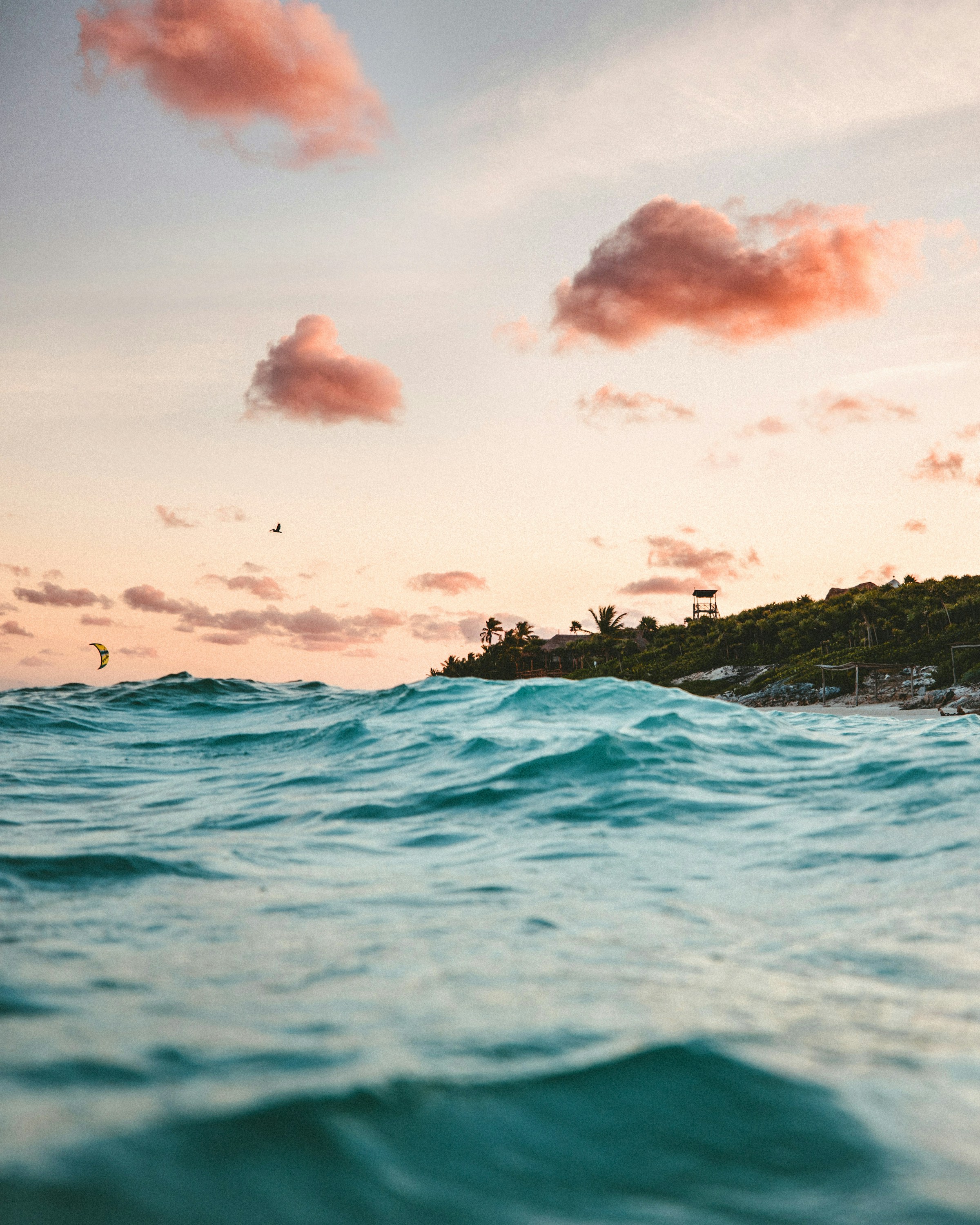 "Das Meer hat alles verschlungen" – Der dramatische Kampf gegen Küstenerosion in Guadeloupe
