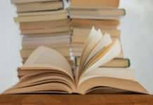 „Cosy Crime“: Der Erfolg der sanften Krimis Buchhandel