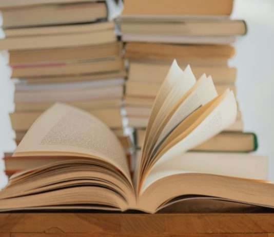 „Cosy Crime“: Der Erfolg der sanften Krimis Buchhandel