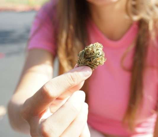 Drogenkrieg oder Friedensvertrag? Frankreich und Deutschland ringen um die richtige Strategie Frauen_im_Drogenhandel