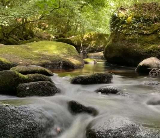 Verborgene Wunder und Mythen – Eine Entdeckungsreise durch den Forêt de Huelgoat Forêt_de_Huelgoat