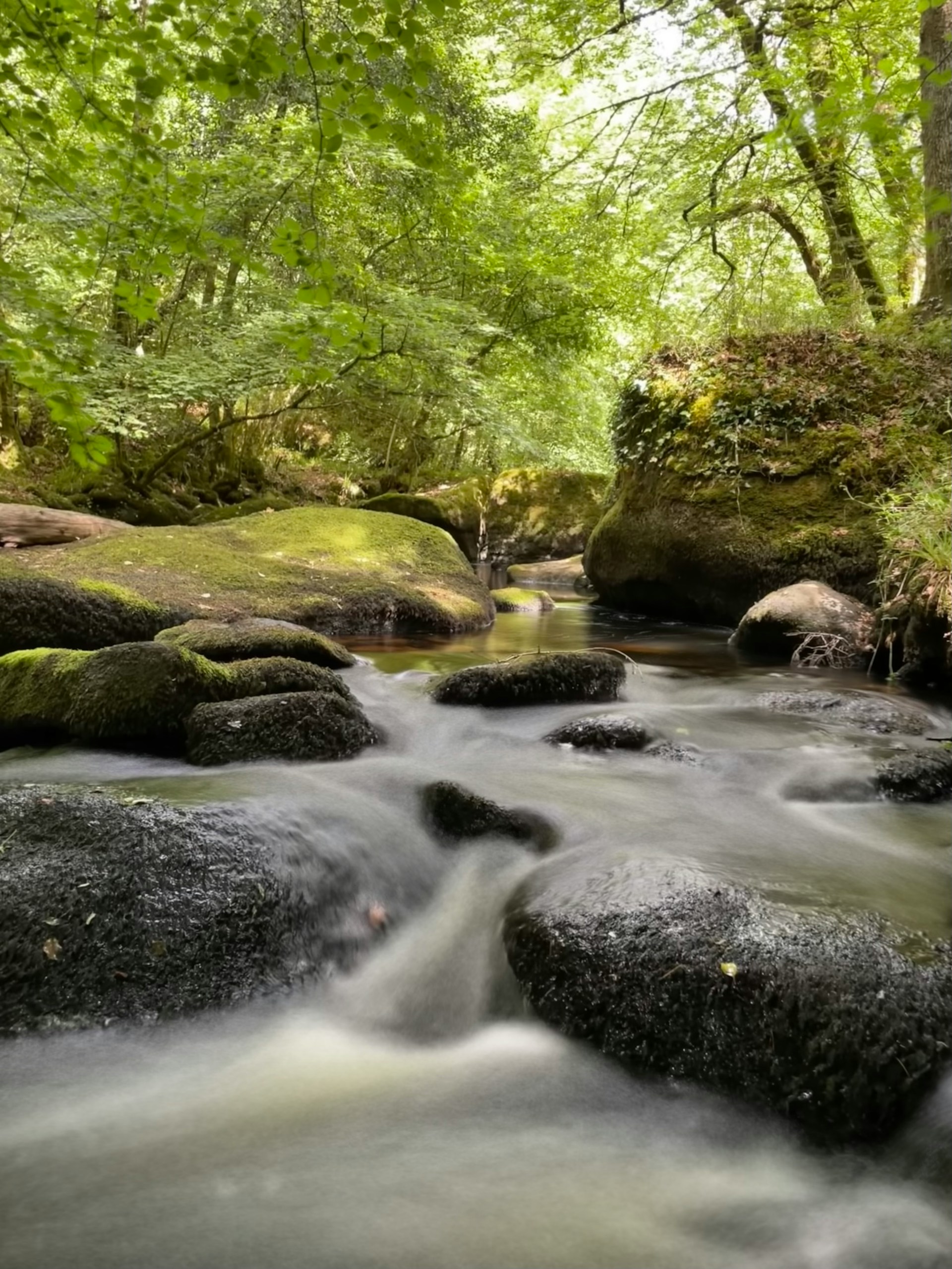 Verborgene Wunder und Mythen – Eine Entdeckungsreise durch den Forêt de Huelgoat
