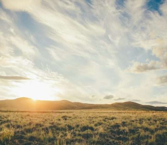 Kalter Wind trotz strahlender Sonne: Was die kommenden Tage bringen Sonne_Wolken