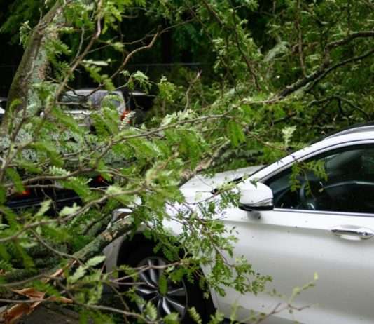 Zwischen Prävention und Prämien: Wie die Versicherungsbranche dem Klimawandel trotzt Sturmschaden