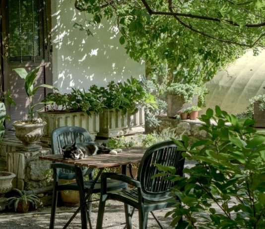 Gartenarbeit: Wie bereitet man sich auf Dürreperioden vor? Garten