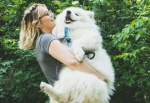 Hunde in Frankreich: Was Sie wissen und beachten müssen Hundehaltung