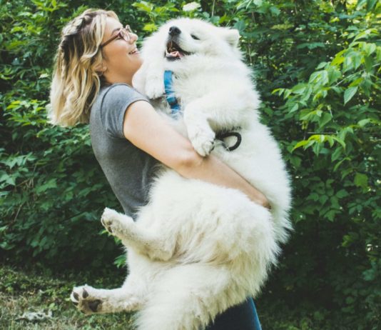 Hunde in Frankreich: Was Sie wissen und beachten müssen Hundehaltung