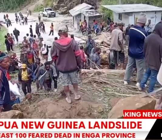Verheerender Erdrutsch in Papua-Neuguinea: Hunderte Häuser verschüttet, viele Opfer befürchtet Erdrutsch_Neuseeland_ScreenX