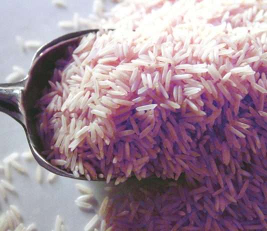 Revolution in der Lebensmitteltechnologie: Forscher entwickeln proteinreichen Reis mit Rindfleischgeschmack Reis