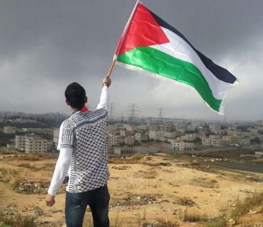 Gemeinsame Anerkennung Palästinas: Irland und Spanien wollen ein Zeichen setzen Palästina